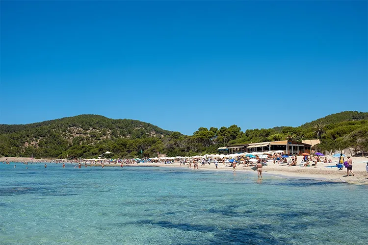 Ses Salines Beach Driven Tour